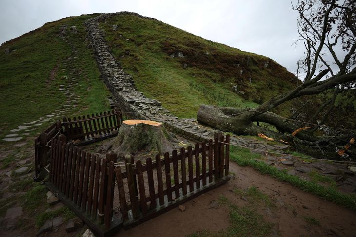 The tree, famous for its appearance in a Robin Hood movie, was destroyed in a planned and nocturnal action. The tree, famous for its appearance in a Robin Hood movie, was destroyed in a planned and nocturnal action.