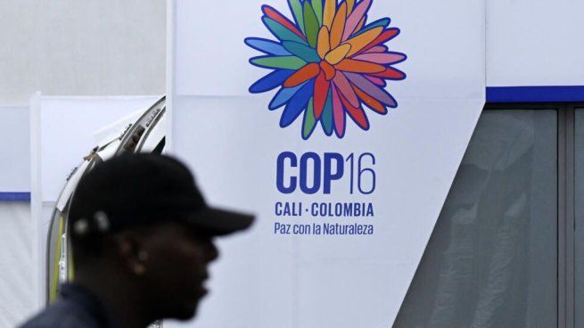 Empezó la COP16 con llamados urgentes para cuidar la biodiversidad.&nbsp;