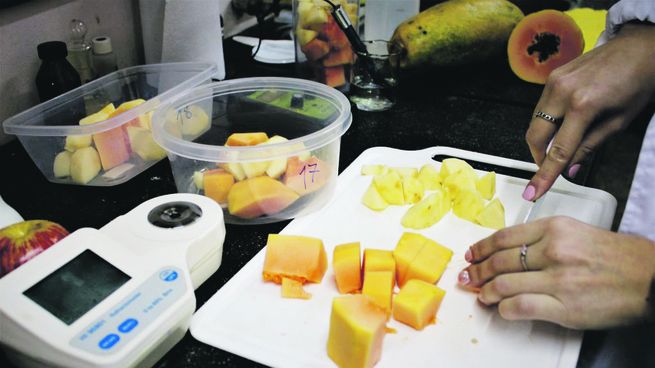 PAG24-SNACKS FRUTAS.jpg