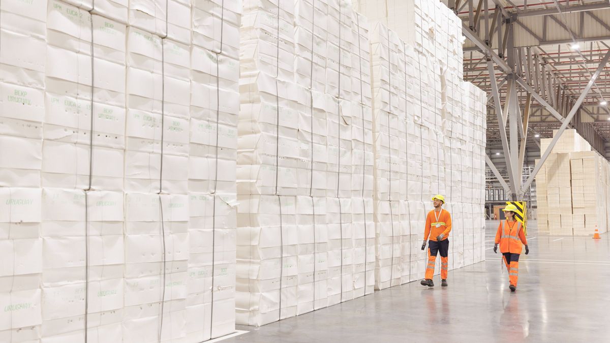 The manufacturing industry grew in the first quarter thanks to the forestry sector