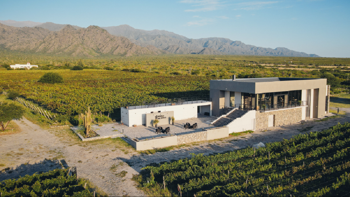 DAL BORGO Winery begins a new stage that celebrates Animaná’s land