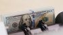 The wholesale dollar in July scored its largest monthly rise since April. The wholesale dollar in July scored its largest monthly rise since April.