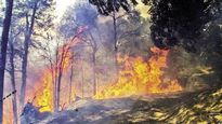 ministerio de ambiente reporta focos de incendios activos en cinco provincias