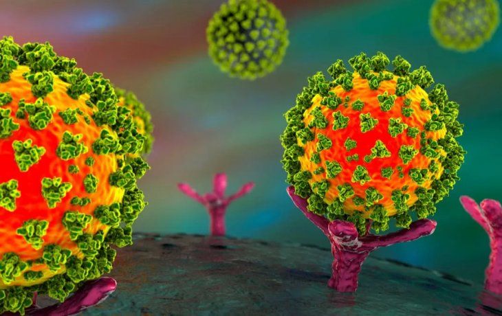 afirman que la carga viral es similar en las variantes omicron y delta de coronavirus
