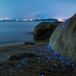 El pueblito cercano a Guadalajara donde el mar se enciende. El pueblito cercano a Guadalajara donde el mar se enciende.