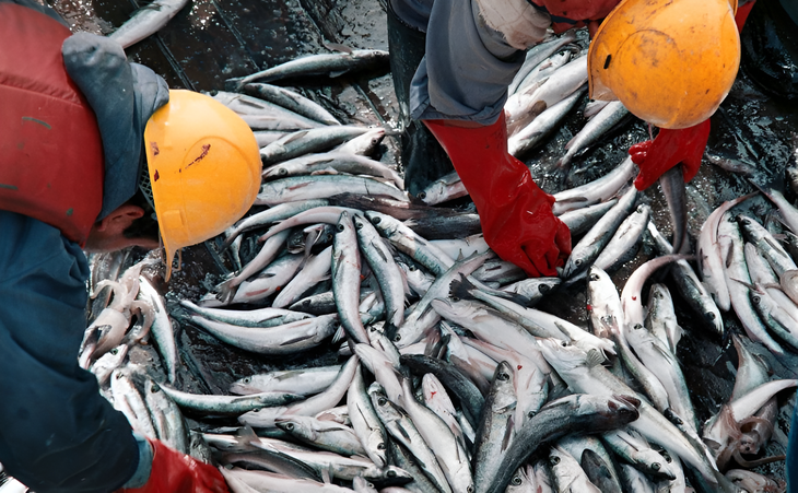 The benefit seeks to encourage the processing of captures in land plants.