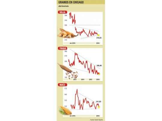 Alzas en trigo; bajas en maíz y soja