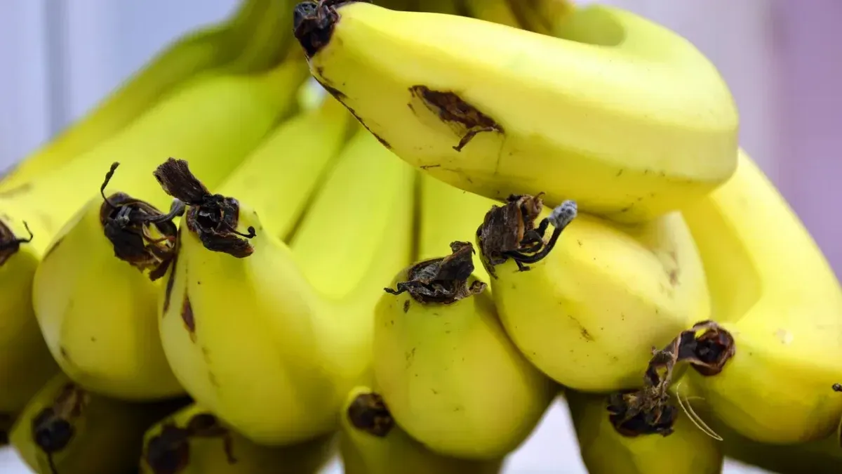 Paraguay and Bolivia suspended the export of bananas to Argentina due to lack of payment