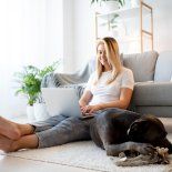 La ciencia descubrió el motivo de uno de los principales gestos de los perros. La ciencia descubrió el motivo de uno de los principales gestos de los perros.