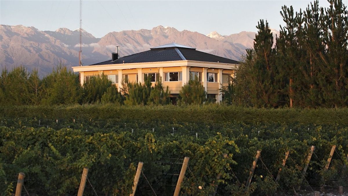 Antucura celebrates 30 years of life and 20 of its first harvest