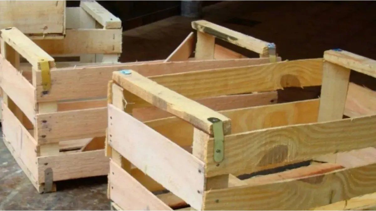 Home recycling: creative ideas with vegetable drawers