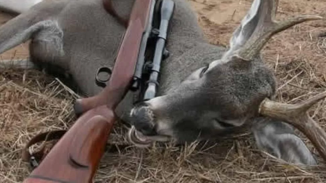 La caza sigue amenazando a especies vulnerables y dañando ecosistemas.