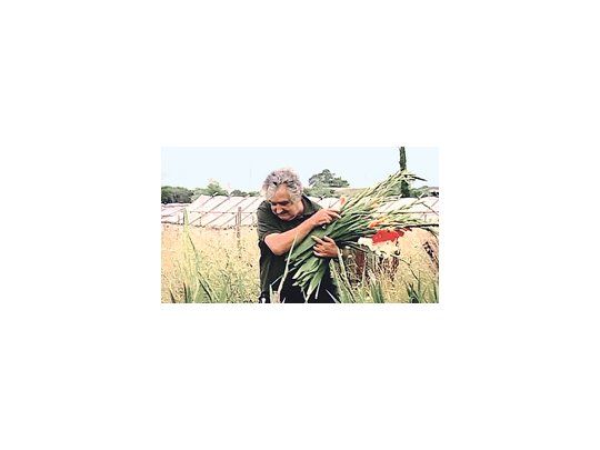 La galería Ruth Benzacar cierra el año con un video del artista uruguayo Martín Sastre, en el que aparece el presidente Mujica.