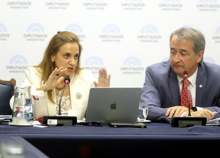 La titular de la Agencia de Acceso a la Información Pública, Beatriz Anchorena. La titular de la Agencia de Acceso a la Información Pública, Beatriz Anchorena.