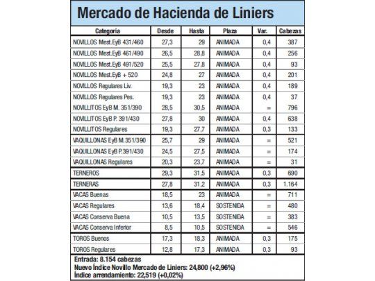 Índice Novillo subió un 3% en Liniers