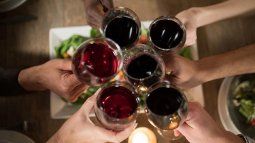 dia nacional del vino: la diferencia entre organicos, veganos y biodinamicos