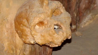 El hallazgo original ocurrió en 1960, cuando el espeleólogo griego Christos Sariannidis descubrió un cráneo humano incrustado en una estalagmita.