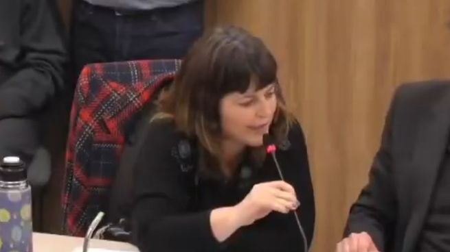 El exabrupto de Carolina Gaillard en Diputados contra una legisladora libertaria.&nbsp;