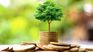 The Central Bank of Uruguay (BCU) presented to the World Bank the reserve investment strategy in sustainable assets. The Central Bank of Uruguay (BCU) presented to the World Bank the reserve investment strategy in sustainable assets.