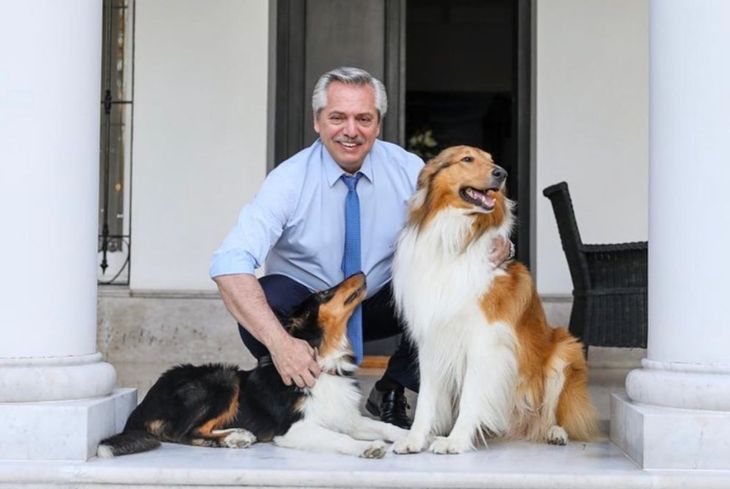 El expresidente Alberto Fernández estaría por volver a la Argentina para ordenar su situación ante el PJ. El expresidente Alberto Fernández estaría por volver a la Argentina para ordenar su situación ante el PJ.