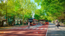 The mayor of Canelones highlighted the Cinve project over the Tram Train project.
