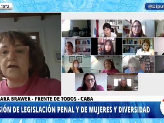 diputados.PNG