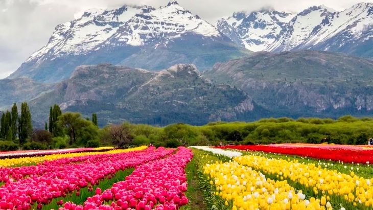 Ubicada en la cordillera de Chubut, cerca del Parque Nacional Los Alerces, Trevelin empezó a posicionarse como uno de los destinos más privilegiados del mundo para seguir el eclipse. Ubicada en la cordillera de Chubut, cerca del Parque Nacional Los Alerces, Trevelin empezó a posicionarse como uno de los destinos más privilegiados del mundo para seguir el eclipse.