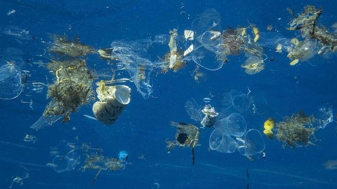 La campaña de GPS incluyó la colaboración con el sector privado y municipios para modificar una ordenanza y ampliar la prohibición de plásticos descartables en las playas.