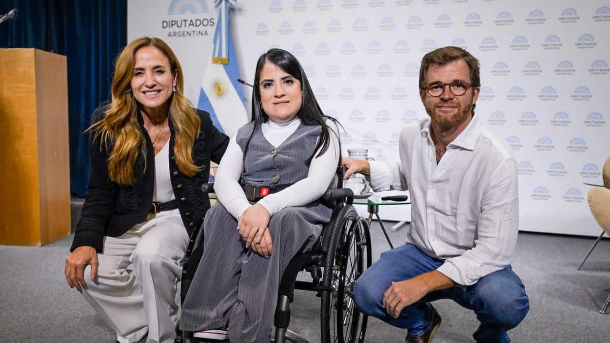 Proponen que familias de tránsito puedan adoptar tras un año de cuidado