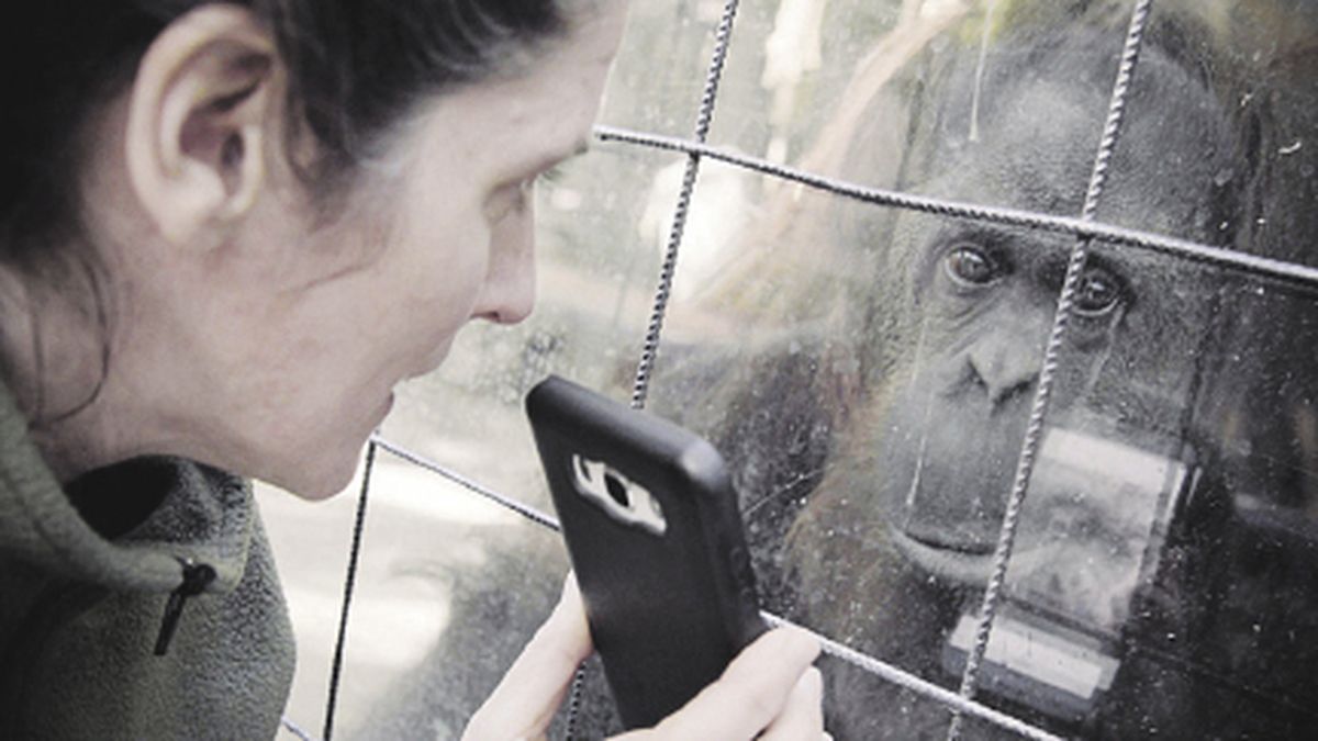 Argentine documentary “Zoophobia” wins in Barcelona