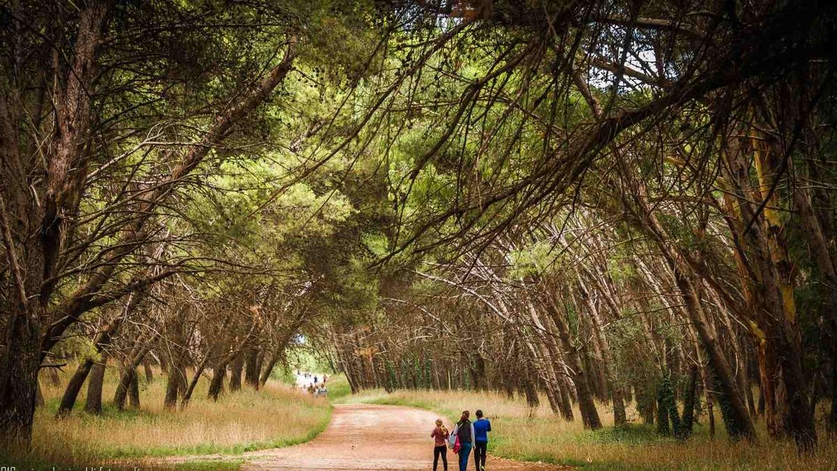 What to do in Necochea, one of the most chosen summer destinations