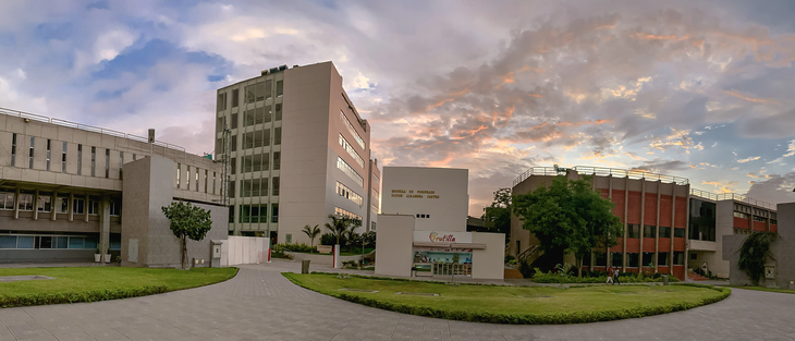 Universidad de São Paulo (USP) Universidad de São Paulo (USP)
