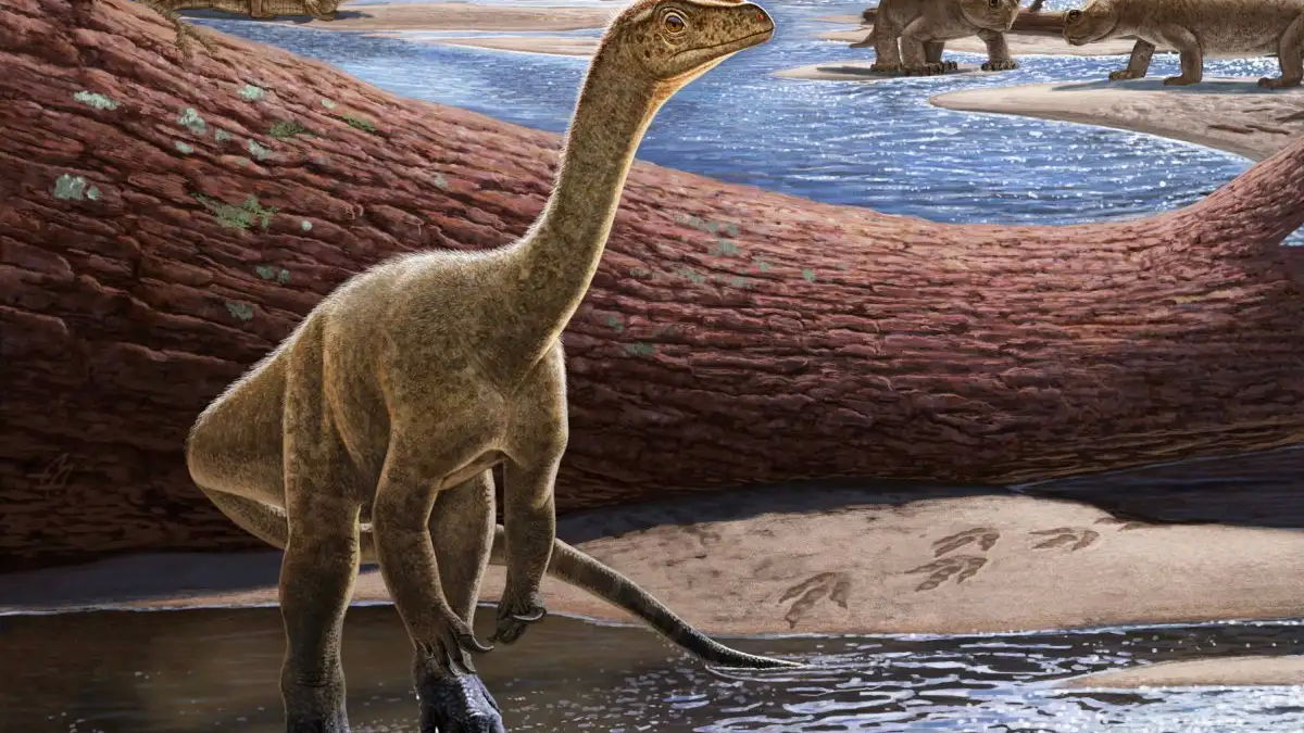 Descubrieron el dinosaurio más antiguo de África hasta el momento