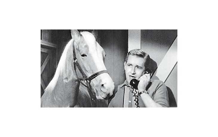 ámbito.com | Alan Young y Mr. Ed., la serie estadounidense de la CBS (1961) que inició el modelo actual de  “syndication”, es decir, de contenidos negociados por un canal con repetidoras, y de allí al mundo.