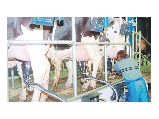 Cadena láctea. El sector genera más de 238.000 puestos de trabajo y cumple un rol fundamental en la economía. Hoy atraviesa una de sus peores crisis y muchos productores están abandonando la actividad.