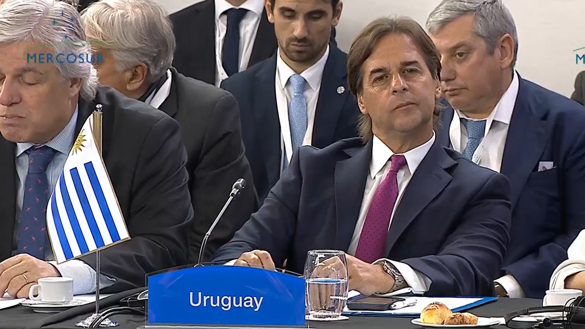 A more flexible and modern Mercosur, the axes of Luis Lacalle Pou’s speech