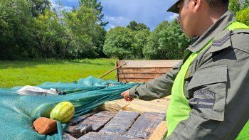 Secuestro de marihuana en Misiones
