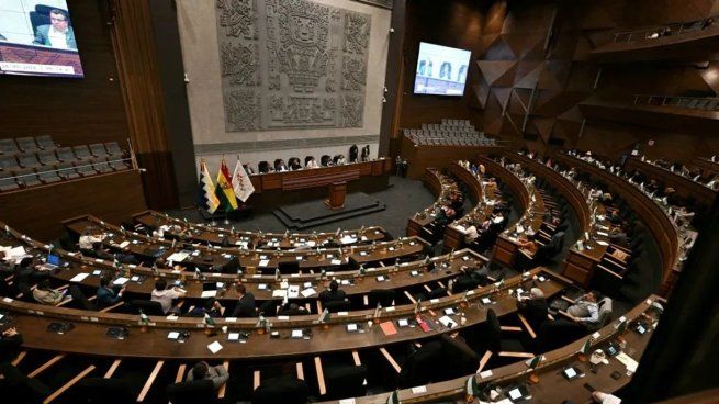 El Congreso de Bolivia aprobó el acuerdo con el FMI.