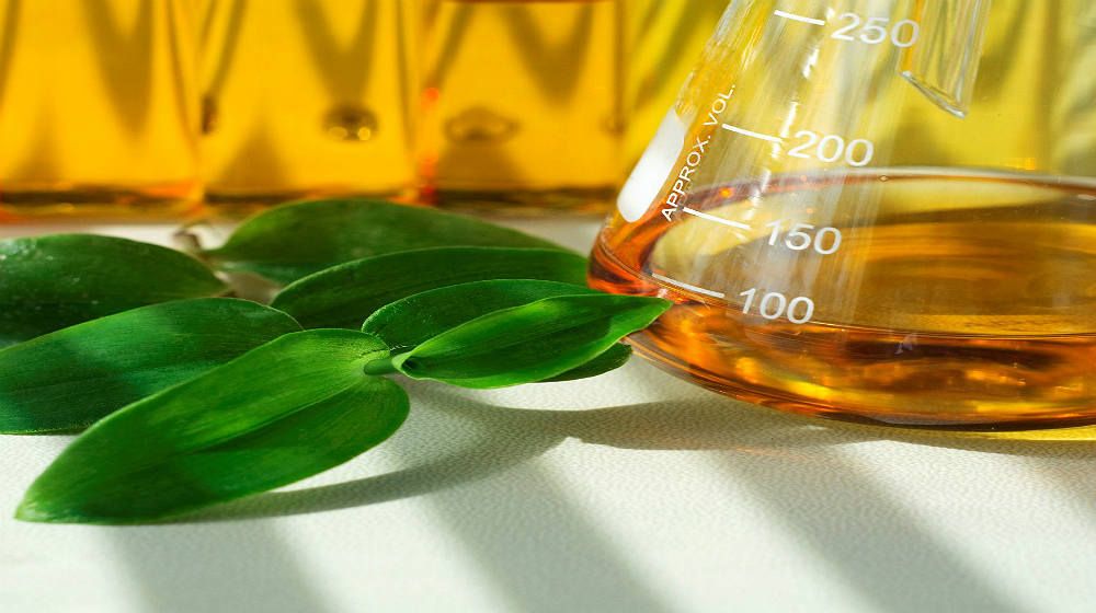 Argentina exportará cerca de 700.000 toneladas de biodiésel a la Unión Europea
