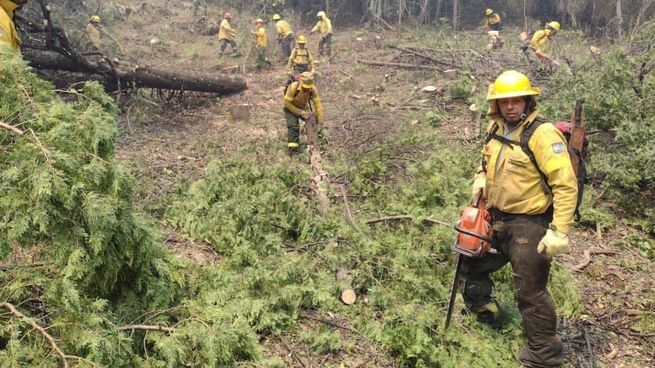 Brigadistas trabajan sin cesar en el Sur.