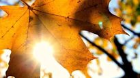 clima: pronostico del tiempo del martes 18 de abril de 2023