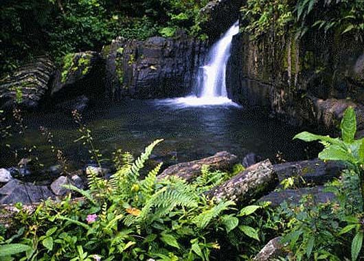 Parque nacional del Yunque (Puerto Rico)