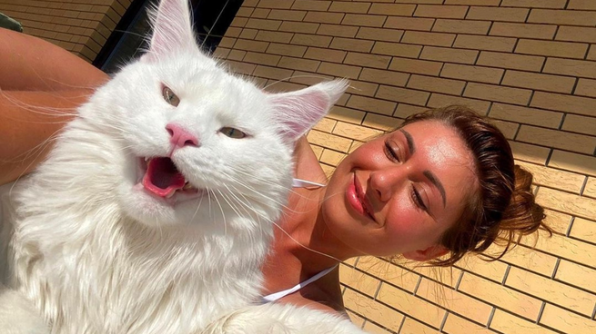 El gato más del mundo no para de crecer. 