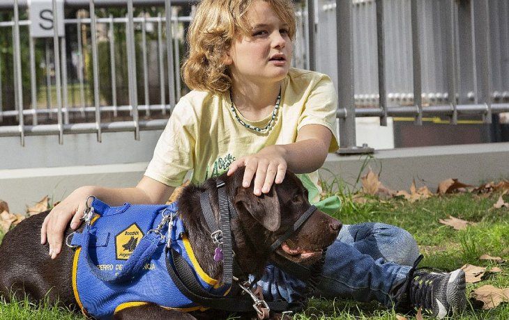 dia mundial del autismo: ¿como un nino puede acceder a tener un perro de asistencia?