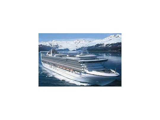 El Star Pincess es un crucero de lujo con capacidad para 2600 pasajeros, que ya había atracado en Ushuaia y que tenía planeado volver a hacer el 8 de marzo.