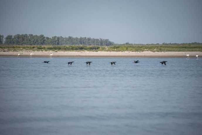 Parque Nacional Ansenuza.
