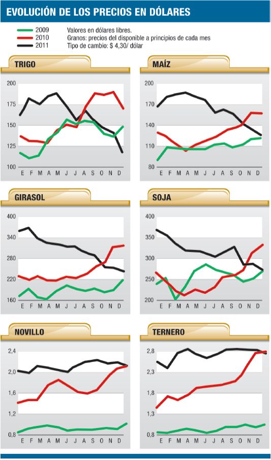 El campo se prepara para enfrentar un año complicado (foto 1)