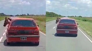 Córdoba: un hombre trasladó un caballo en auto por la ruta.