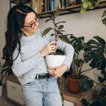 Este ingrediente no solo sirve para la cocina, también es un gran aliado de las plantas. Este ingrediente no solo sirve para la cocina, también es un gran aliado de las plantas.