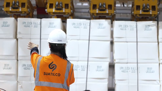 La celulosa se perfila para ser el principal producto exportado desde Uruguay durante el año que viene.